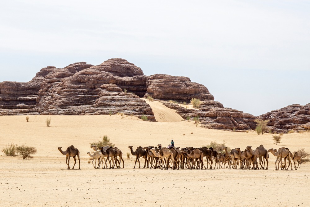 sahara tibesti avec de la neige